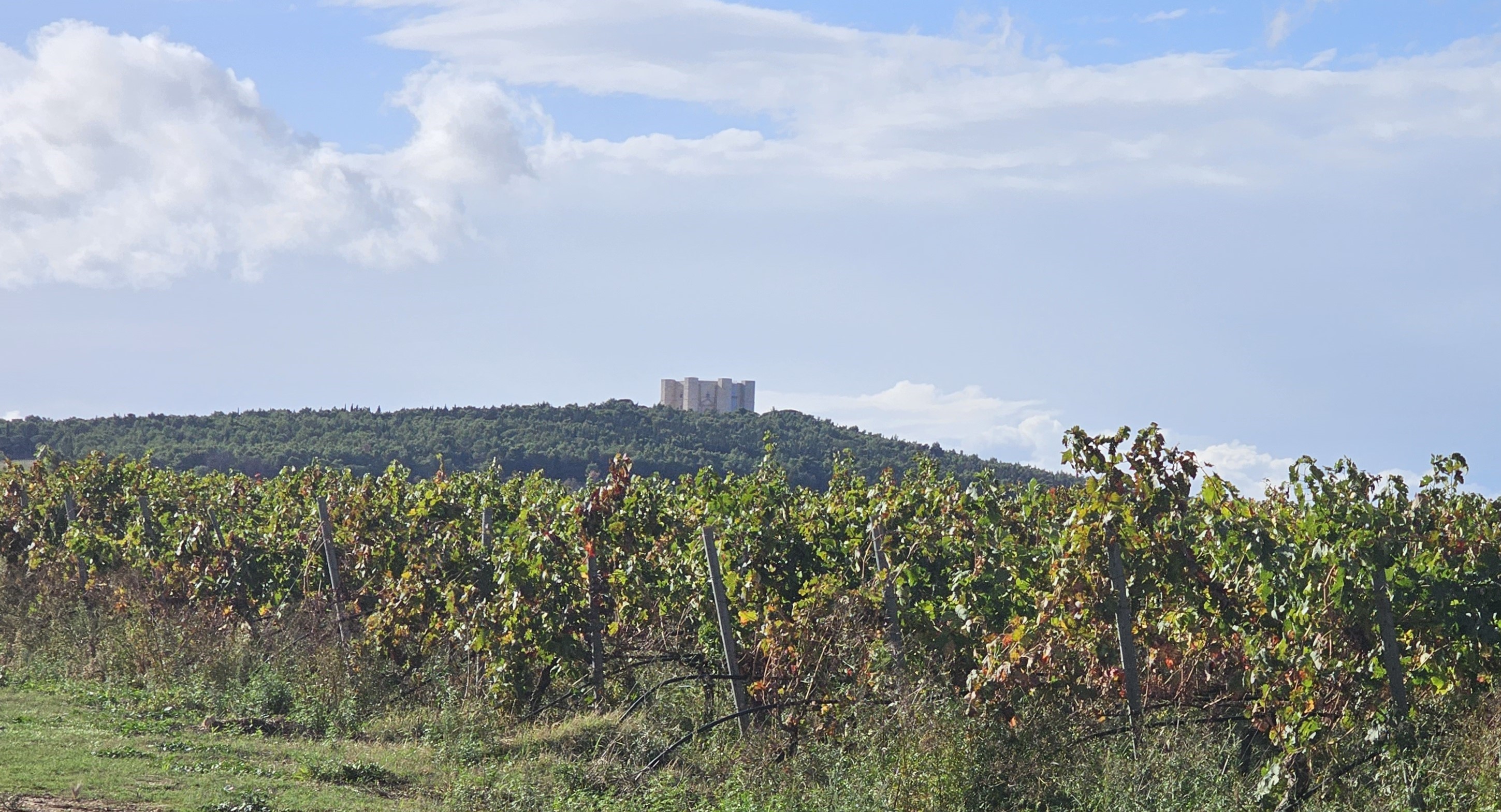 Castel del Monte